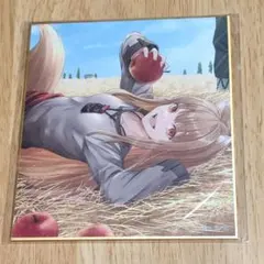 狼と香辛料　色紙　24cm×24cm 狼と香辛料 色紙 24cm×24cm 狼と香辛料色紙24cm×24cm