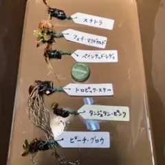 ルビルビ❤︎様 リクエスト 3点 まとめ商品 - メルカリ