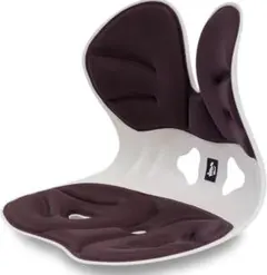 【ドイツ レッドドット賞受賞ブランド】(デズヤ）第二世代 姿勢矯正 椅子登場！