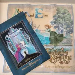 緊急値下げ！　ディズニー　アナ雪 ファンタジースプリングス タオル・巾着セット