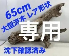 W59沈下確認済み アク抜き済み流木 アクアリウム 爬虫類シェルター 大型流木のサムネイル