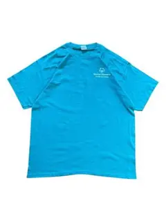 【最終値下げ！】GILDAN ULTRA COTTON 半袖Tシャツ