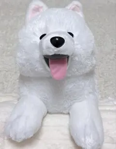 サモエド伏せ2 ウルトラBIG ぬいぐるみ べー(目閉じ) タグ付き