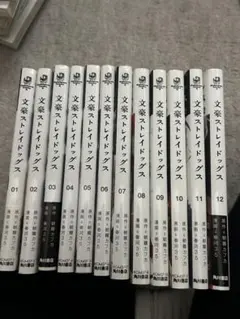 文豪ストレイドッグス 全巻セット