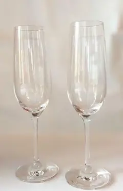 ショット・ツウィーゼル (SCHOTTZWIESEL) プレート 5枚セット SCHOTT ZWIESEL（ショット ツヴィーゼル）VINA ワイングラス | LIVING