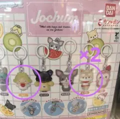 JOCHUM めじるしアクセサリー2