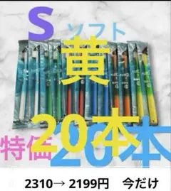 タフト　24 歯ブラシ 歯科医院専用　10本