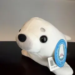 もちぷに水族館　白アザラシ ぬいぐるみ