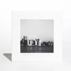 2025年最新】SAKANAQUARIUM 2019 