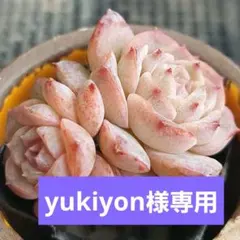 yukiyon様 リクエスト 4点 まとめ商品