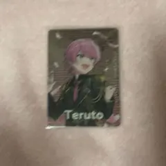 てるとくん フォトカセット 2025年最新】てるとくんフォトカの人気アイテム - メルカリ