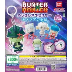 HUNTERXHUNTER　めじるしアクセサリー　キメラアント編　カイト　2点