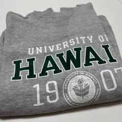 University of Hawai'i トレーナー
