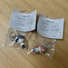 エヴァンゲリオン めじるしアクセサリー シンジ　マリ