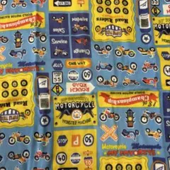 のんちゃんママ様専用　ダブルガーゼ生地