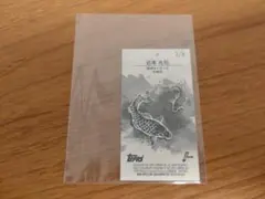 Item thumbnail for item f7e4b494-3993-402e-a8a4-38f826569d02