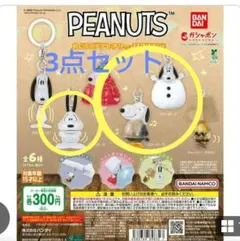 PEANUTS めじるしアクセサリー スヌーピー B D E ガチャ