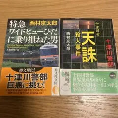 特急ワイドビューひだに乗り損ねた男 & 十津川警部十津川村天誅殺人事件