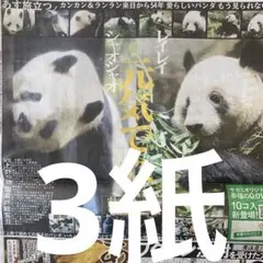 パンダ　シャオシャオ　レイレイ　1.26付新聞３紙セット