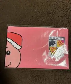 テゲバジャーロ宮崎　レジャーシート