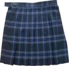 プリーツスカート　チェック　制服　JK ネイビー　紺