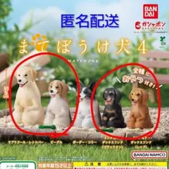 まてぼうけ犬4 ガシャポン フィギュア 4個セット