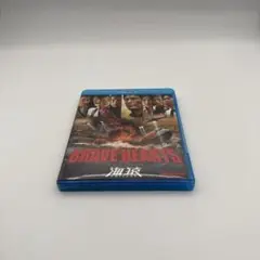 Item thumbnail for item 2d9bcce9-4f44-4798-a0db-a3164e39458e