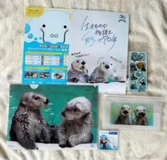 2026年最新】鳥羽水族館キラの人気アイテム - メルカリ