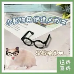 Item thumbnail for item 359dfabc-78f4-42b4-ba37-b8b73ef2bb8b