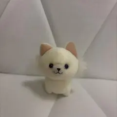 こわんころん マスコット チワわん チワワのサムネイル