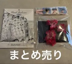 Item thumbnail for item 4130ae0d-6d92-4243-bb18-f06d80e98057