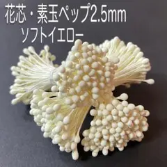 ジャスミン様 リクエスト 2点 まとめ商品