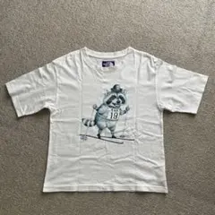 【最終価格】ノースフェイス パープルレーベル レディース Tシャツ used