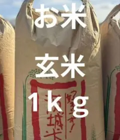 2026年最新】玄米 30Kg 令和6年の人気アイテム - メルカリ