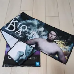 一番くじRIZIN。G賞Mikio Ueda 応援タオルのサムネイル