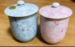 Item thumbnail for item a5b9ac22-66c9-4850-b4f7-5cb805e2079d