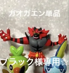 ブラック様専用☆ポケットモンスター ガオガエン