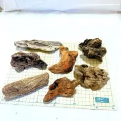 不規則形状 流木7点セット⑧ 【自然沈水確認済み】