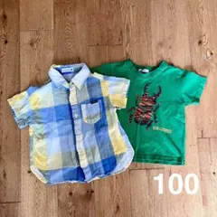 Item thumbnail for item 7fb4c299-ccf2-4fd5-a88f-c1f7cbd478e2