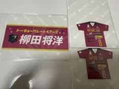 東京グレートベアーズ エターナルステッカー 柳田将洋 - メルカリ