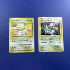 旧裏 イントロパック フシギバナ ＋進化前セット 旧裏 イントロパック フシギバナ ＋進化前セット - メルカリ