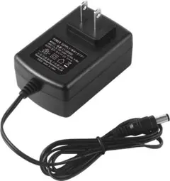 新品 充電器 ミニセグウェイ 電動キックボード 42V 2A 充電口:5.5mm 新品 充電器 ミニセグウェイ 電動キックボード 42V 2A 充電口:5.5mm