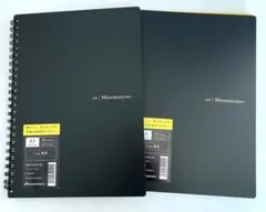 Item thumbnail for item 30bc4568-1e6a-4678-af71-5c40cf55d54f