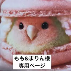 2866✨もも&まりん様専用ページ*ଘ(੭*ˊᵕˋ)੭* ੈ✩‧₊˚