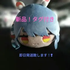 2026年最新】寝そべりぬいぐるみ ホロライブの人気アイテム - メルカリ