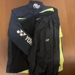 Item thumbnail for item 8597a0e5-48e1-4db8-b73f-cfcd09867df6