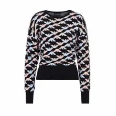 レア★EMPORIO ARMANI ニットプルオーバー 36