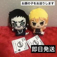 鬼滅の刃 ちびぐるみ vol.6 我妻善逸 獪岳 セット