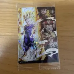 イタジャガ ドラゴンボール vol.8 SSR 孫悟飯 8-17