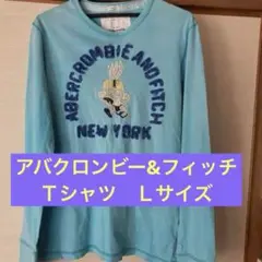 アバクロンビー&フィッチＴシャツ Ｌサイズ 水色